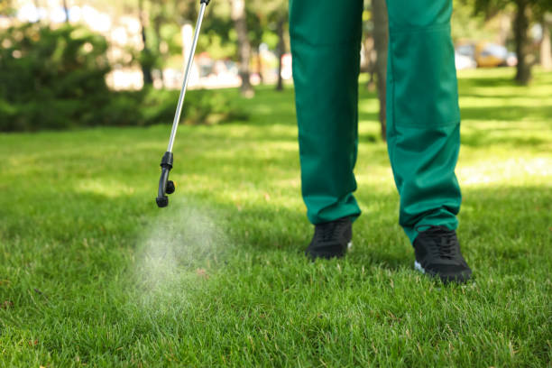Best Ant Control Services  in Shell Valley, ND