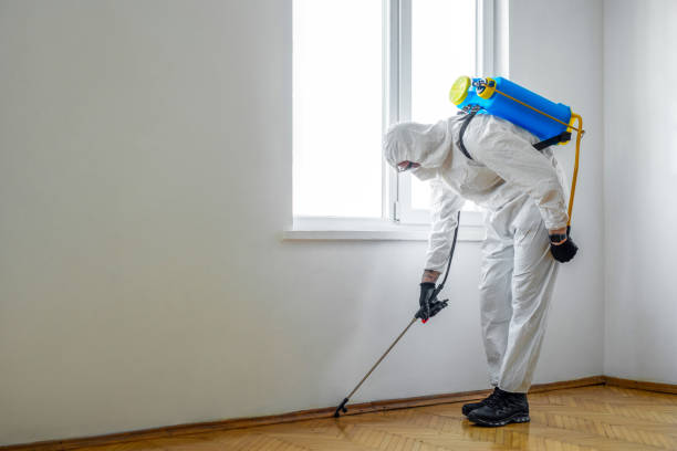 Best Affordable Pest Control Services  in Shell Valley, ND