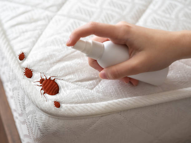 Best Emergency Pest Control  in Shell Valley, ND