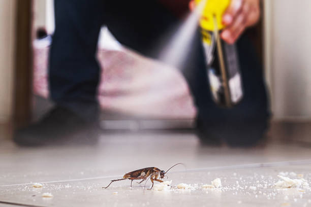 Best Best Pest Control Companies  in Shell Valley, ND