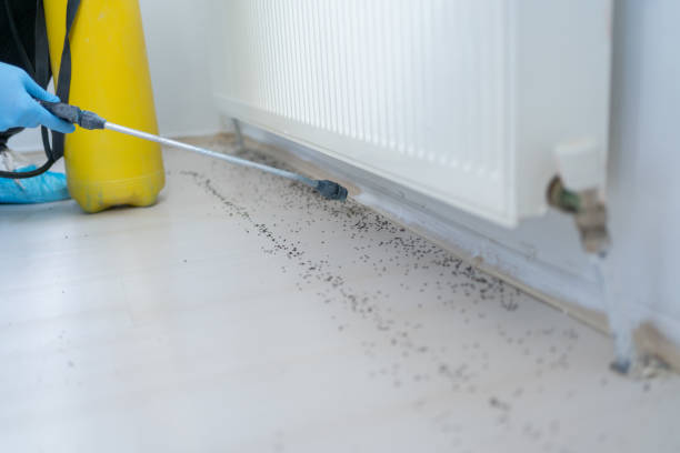 Best Pest Control Near Me  in Shell Valley, ND